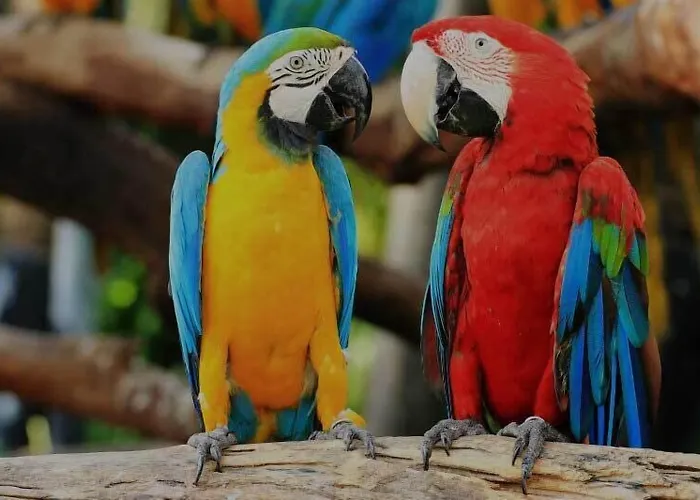 Paradise Cove Luxurious Villa